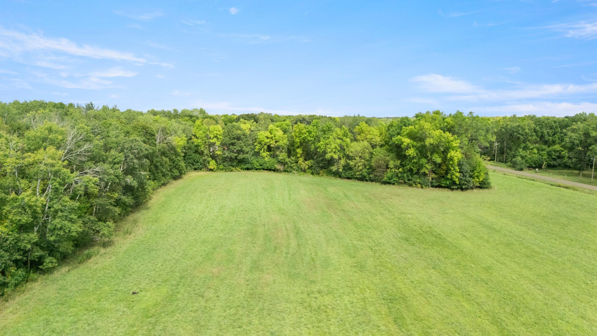Stunning future building site - mix of mature trees!