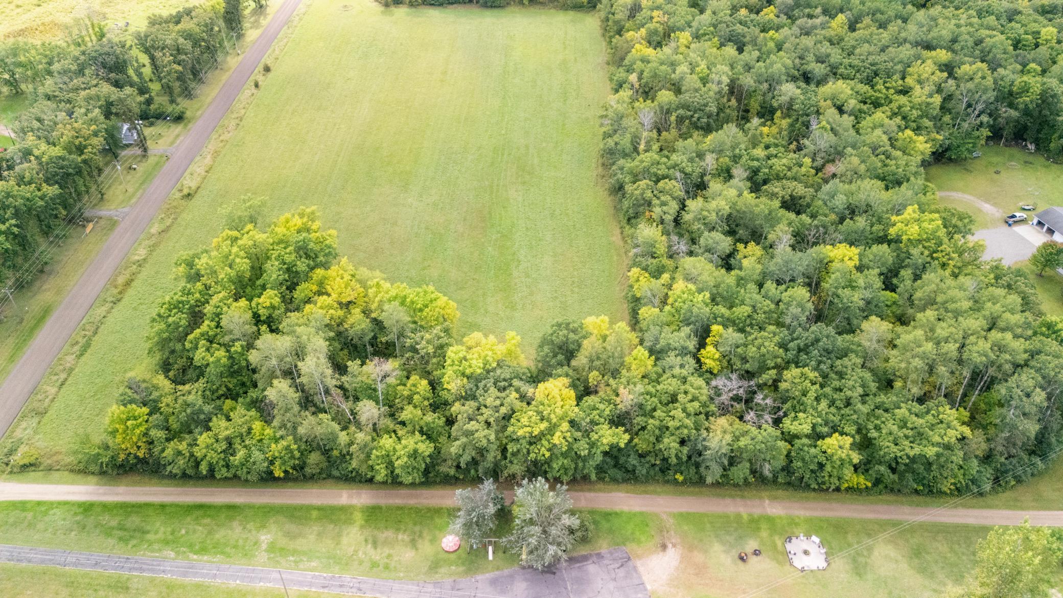 Border of mature trees