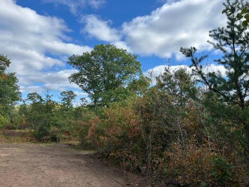 Lot 2 County Road T, Wascott, WI 54838