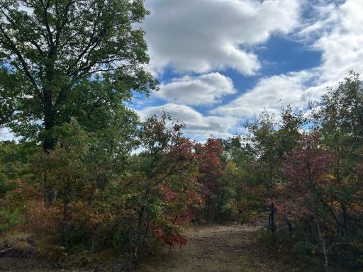Lot 2 County Road T, Wascott, WI 54838