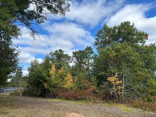 Lot 2 County Road T, Wascott, WI 54838
