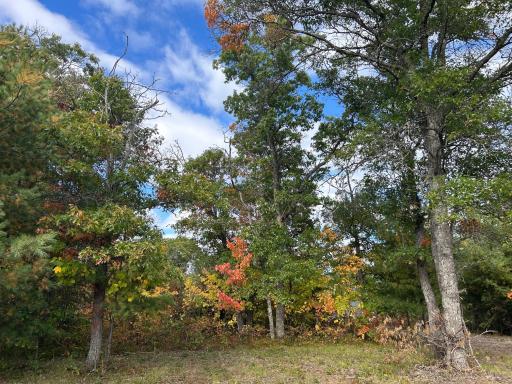 Lot 2 County Road T, Wascott, WI 54838