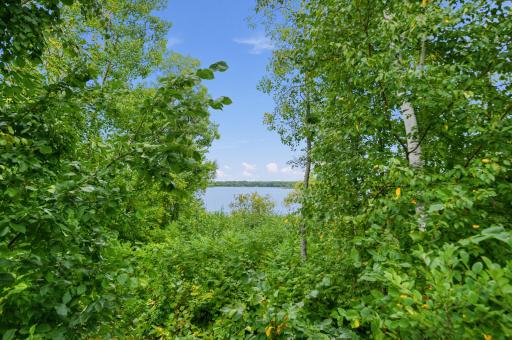 6336 Wilderness Road, 32, Pequot Lakes, MN 56472