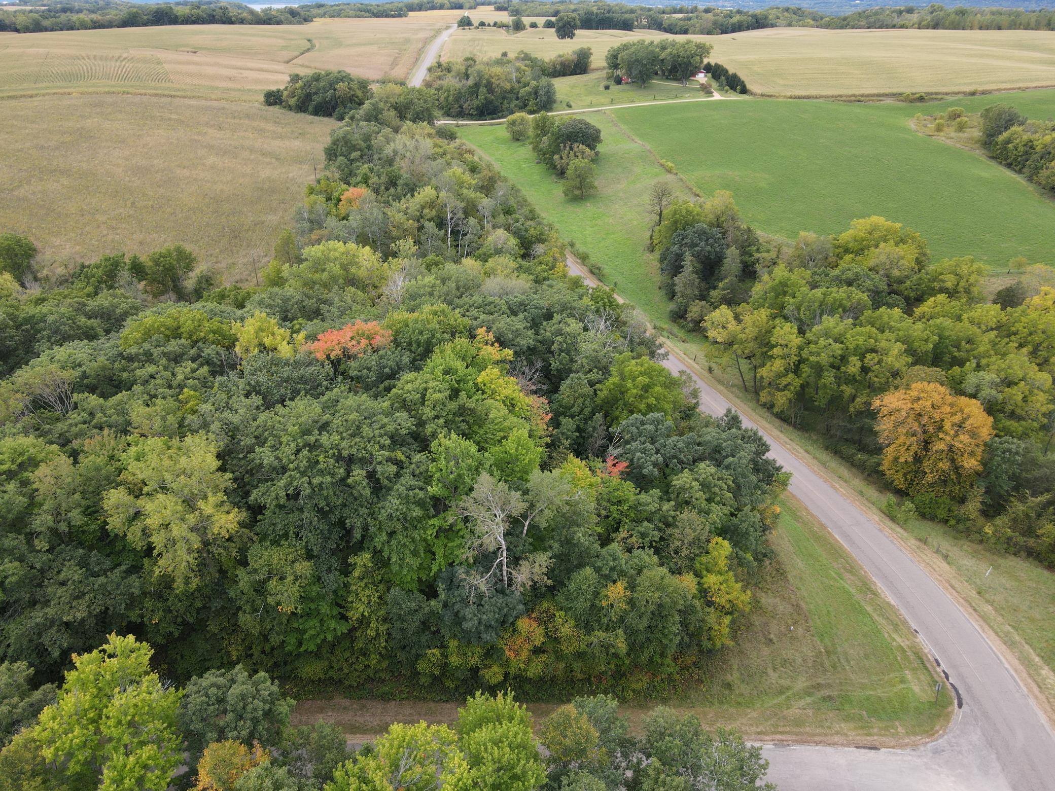 dji_fly_20260921_114124_697_1790008954720_photo.jpg