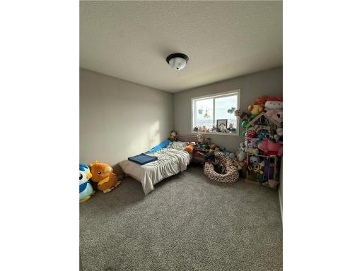 19813 English Avenue N, Forest Lake, MN 55025