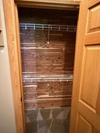 35 primary cedar closet inside walk in closet.jpg