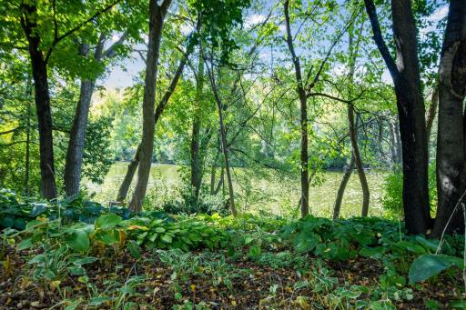 Gardens and mature trees frame peaceful views of the lake.