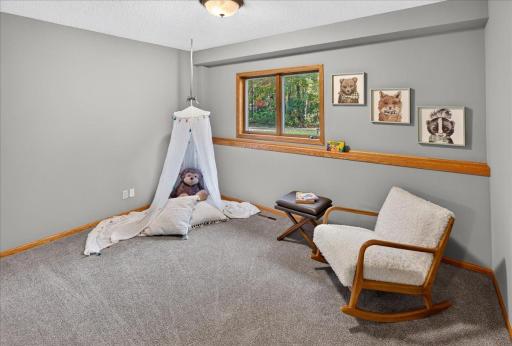 4926 Shady Lane, North Branch, MN 55056