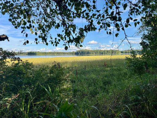 266 Lake Hattie Drive NW, Backus, MN 56435