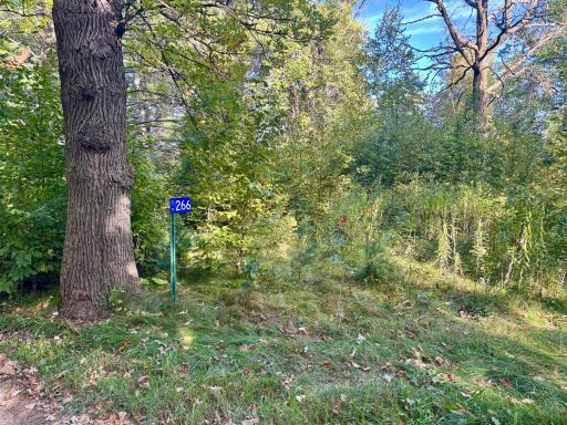 266 Lake Hattie Drive NW, Backus, MN 56435