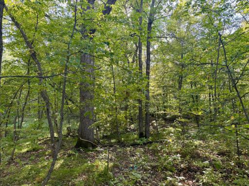 266 Lake Hattie Drive NW, Backus, MN 56435