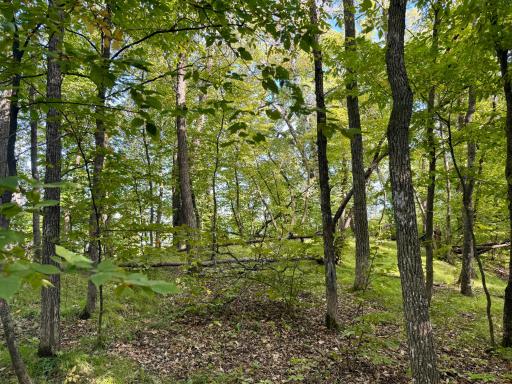 266 Lake Hattie Drive NW, Backus, MN 56435