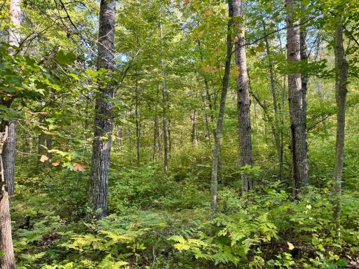 266 Lake Hattie Drive NW, Backus, MN 56435