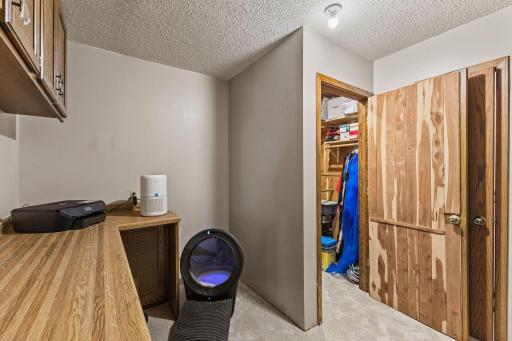 1615 Laurel Ave Cedar Closet that could be a sauna