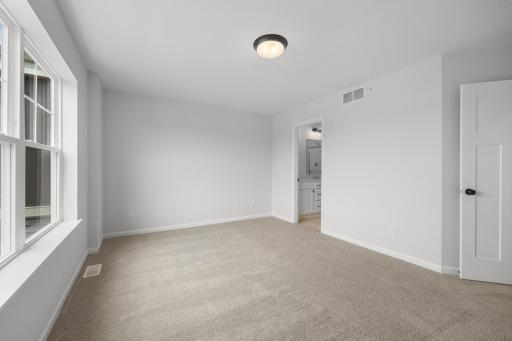 10362 Birchwood Circle, Chaska, MN 55318