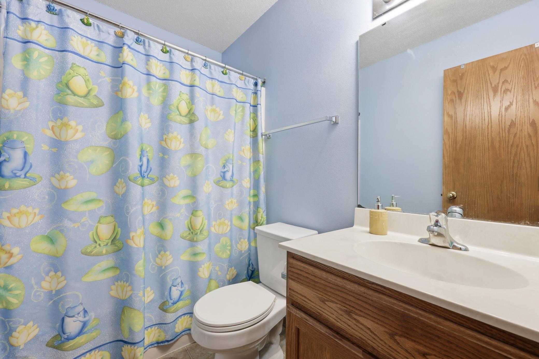 Basement Bathroom