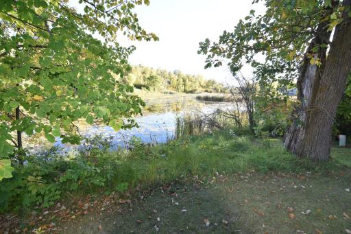 DSC_0033.JPG