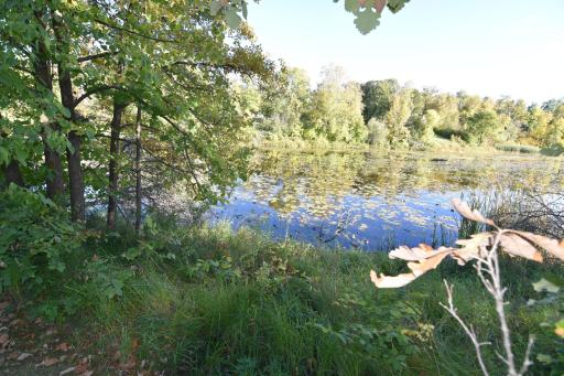 DSC_0034.JPG