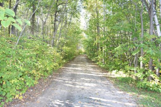 DSC_0040.JPG
