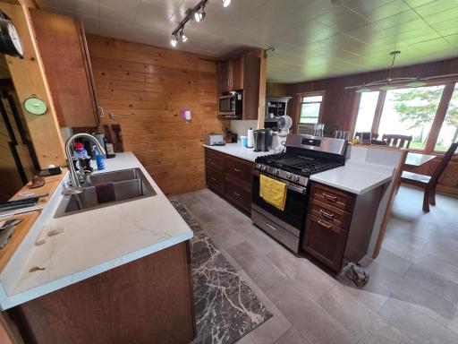 49480 Center Point Road, Bigfork, MN 56628