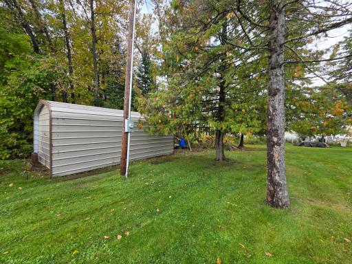 49480 Center Point Road, Bigfork, MN 56628