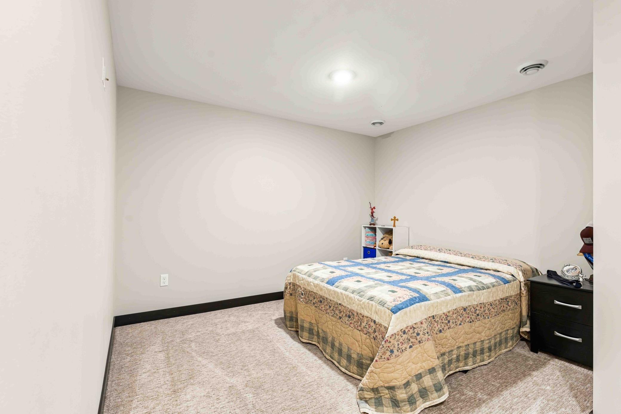 Basement Flex Room