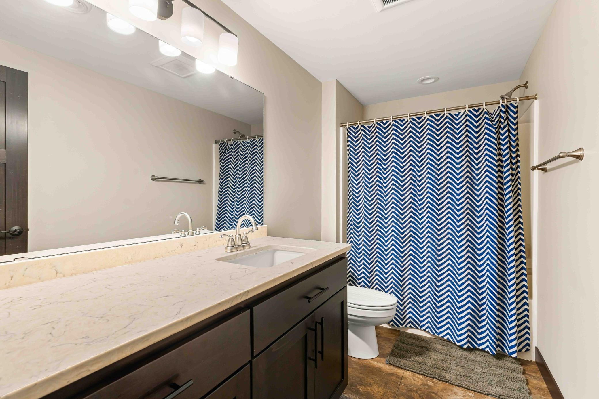 Basement Bathroom