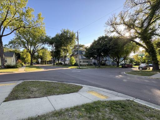 Street corner- treed neighborhood
