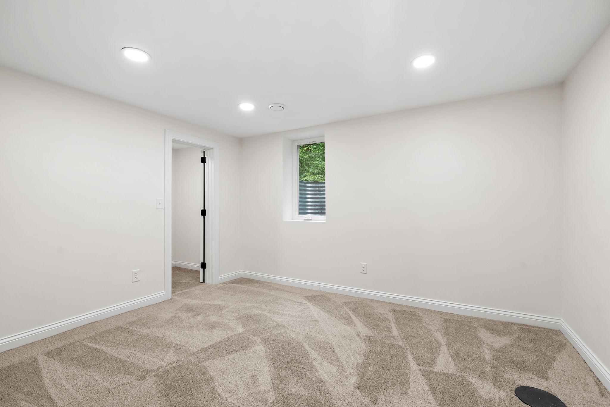 Lower level bedroom