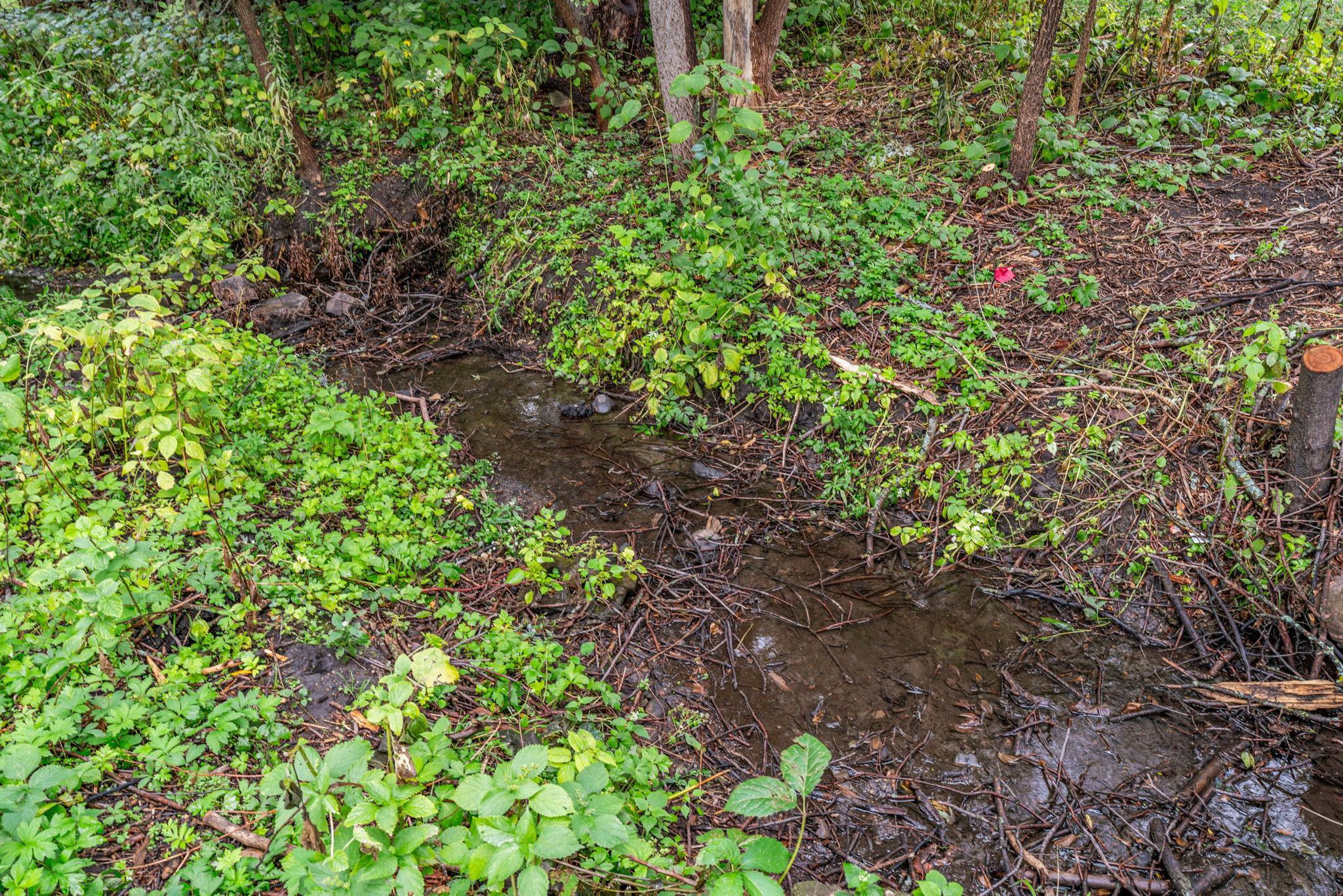 Small creek on the property