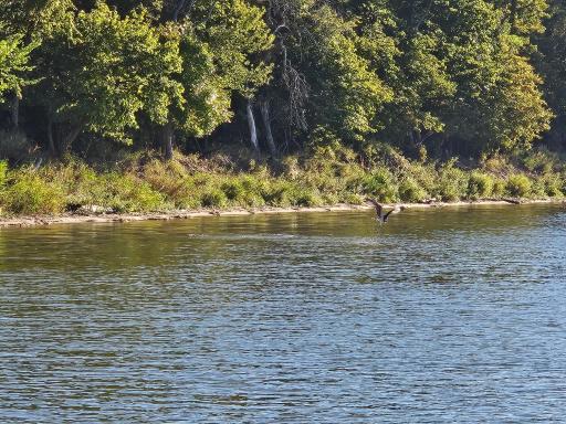 Tract A 332nd Street, Richville, MN 56576