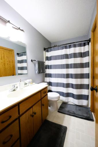 1733 Maple Leaf Lane, Litchfield, MN 55355