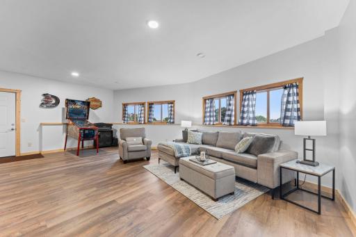Lower level family room