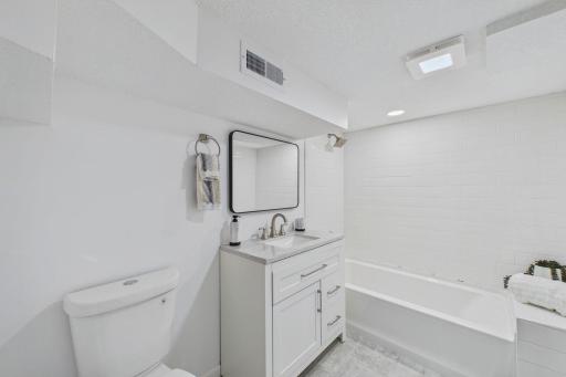 Lower level full bathroom