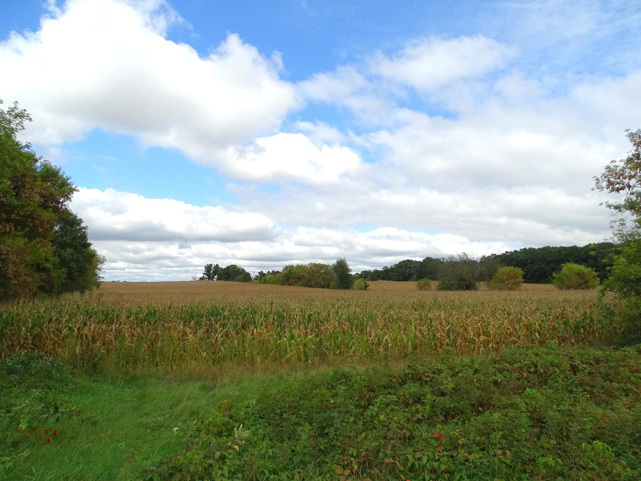 DSC00873.JPG