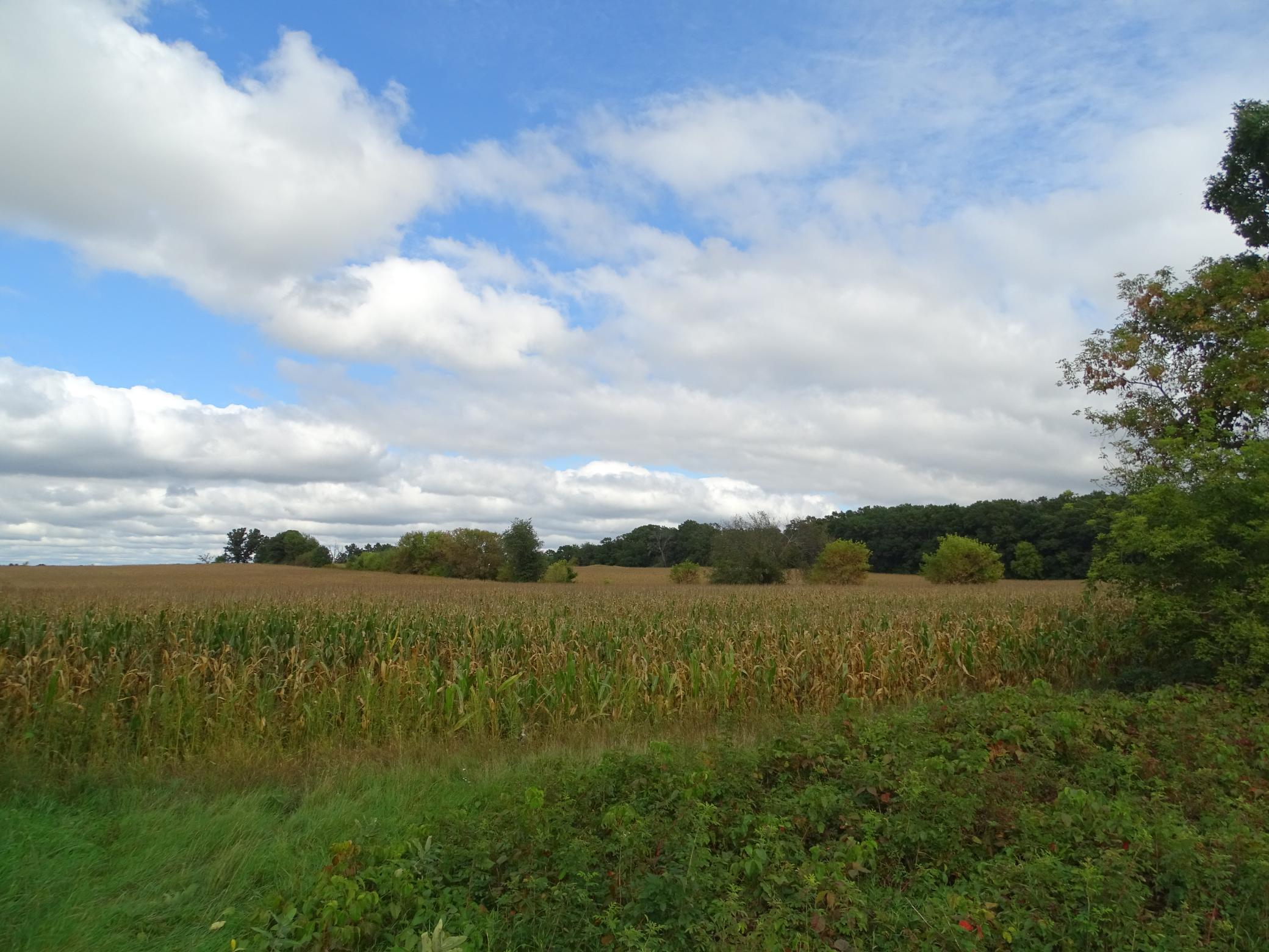 DSC00874.JPG