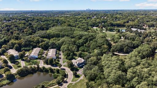 703 Maple Hills Drive, D, Maplewood, MN 55117