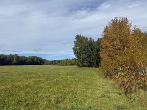 TBD Xxxx Johnson Road, Floodwood, MN 55736