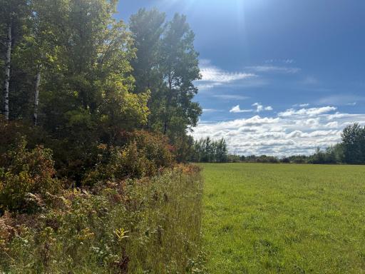 TBD Xxxx Johnson Road, Floodwood, MN 55736