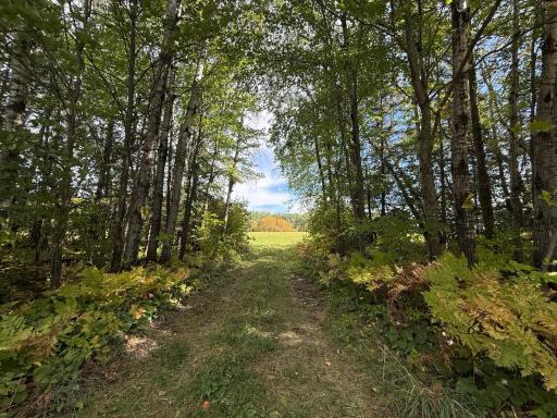 TBD Xxxx Johnson Road, Floodwood, MN 55736