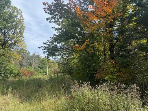 TBD Xxxx Johnson Road, Floodwood, MN 55736