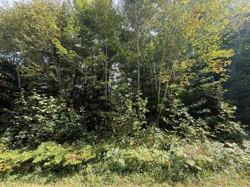 TBD Xxxx Johnson Road, Floodwood, MN 55736