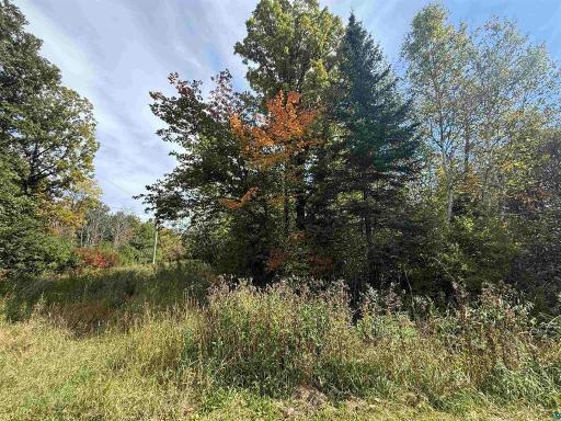 TBD Xxxx Johnson Road, Floodwood, MN 55736