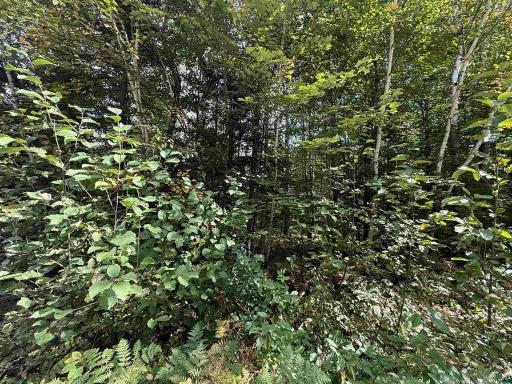 TBD Xxxx Johnson Road, Floodwood, MN 55736