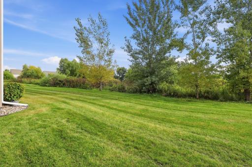 6603 W 133rd Street, Savage, MN 55378
