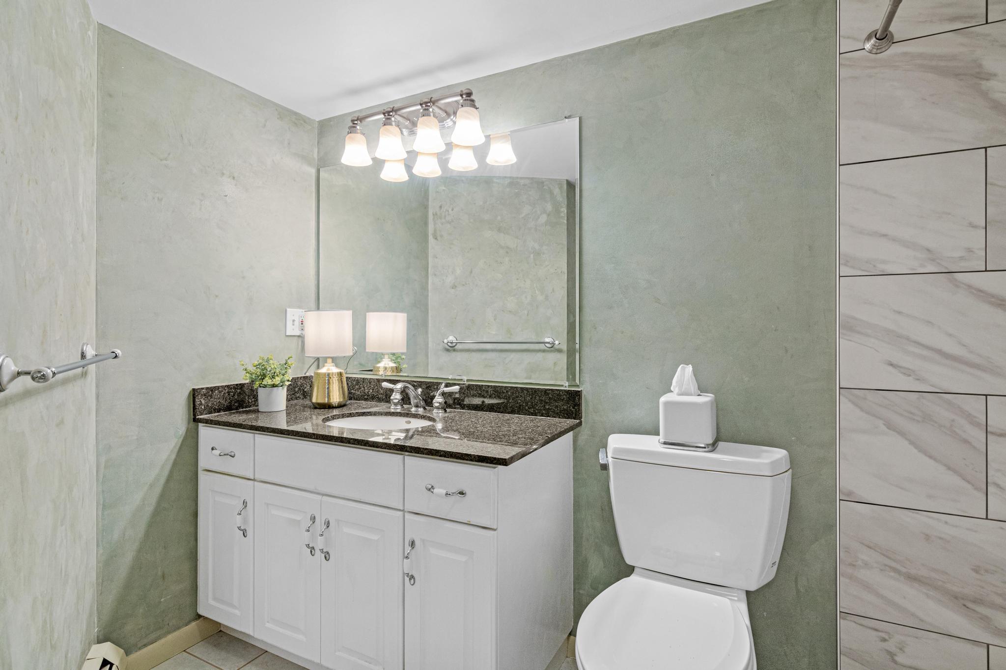 Spacious and beautifully updated full bathroom in the lower level.
