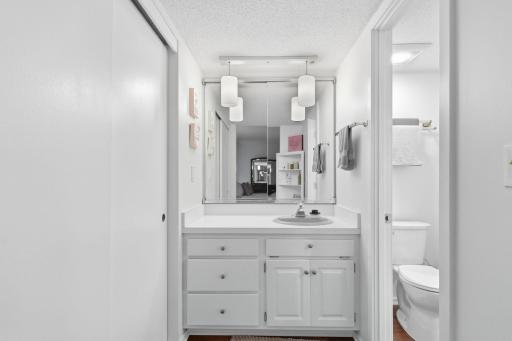 Great private sink area with a linen closet.