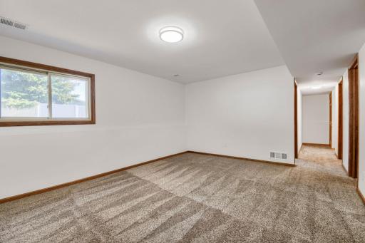 Lower level living room with ample space for a large tv and comfortable couch.