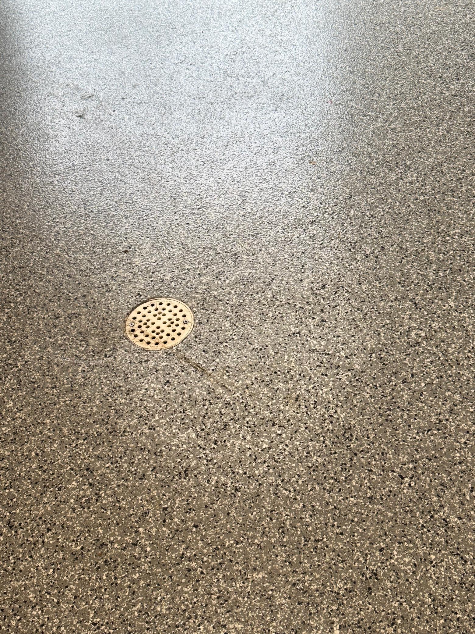 An exceptionally large attached garage complete with a pristine, newly finished epoxy floor and integrated floor drains!