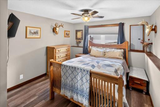 Lower level bedroom (bedroom 4) with walk in closet!